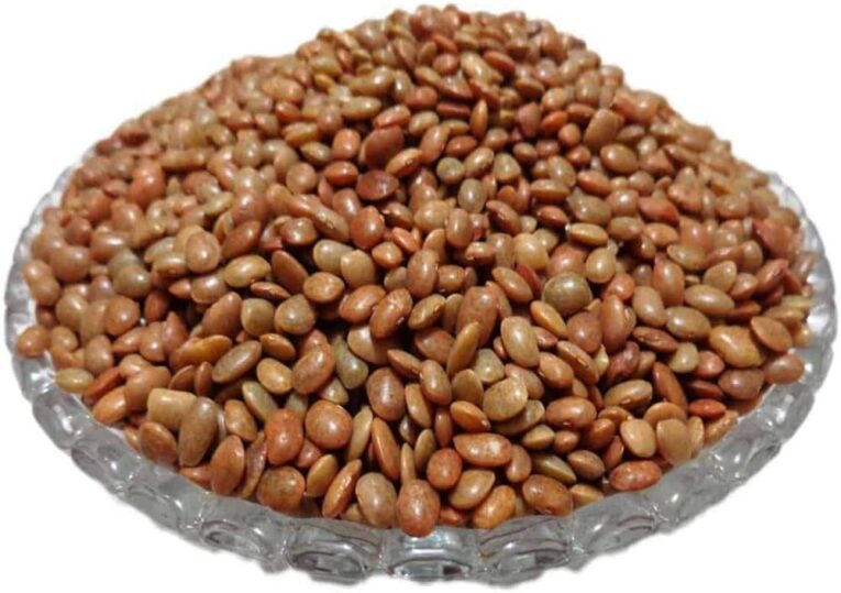 NANDHI KOLLU LENTILLES WHOLE 500G